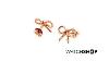 Olivia Burton Jewellery Ladies Rose Gold Plated Sterling Silver Vintage Bow Earrings Obj16vbe02