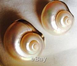 Vintage 1984 Betsy Fuller Double Sea Shell Pin WithMatching Earrings Sterling 14K