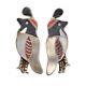 Vintage Zuni Quail Stud Earrings Sterling Silver With Jet, Coral, Shell Inlay